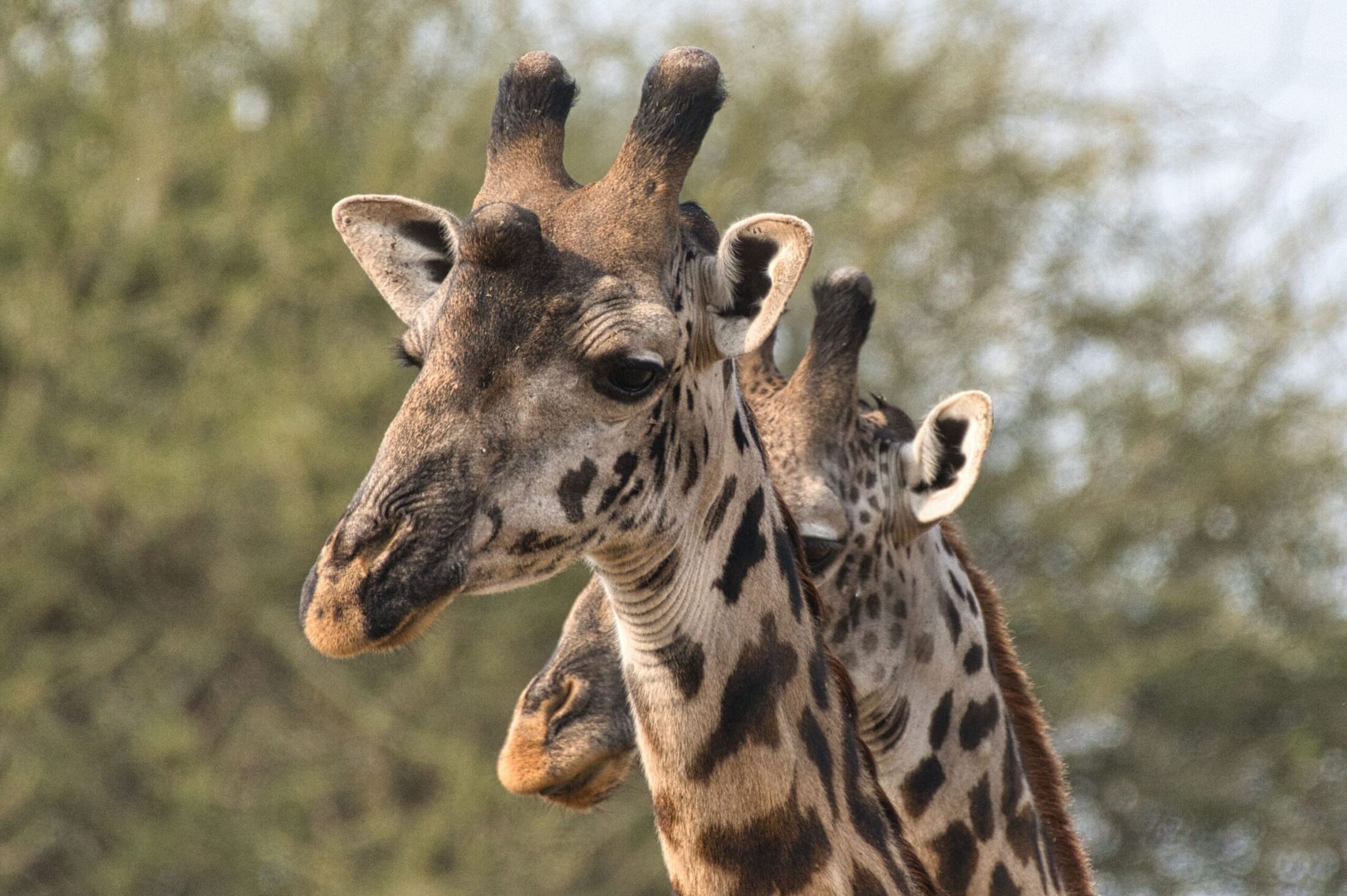 Encircle East Africa Travel and safari, Top Most Beautiful Places in east Africa