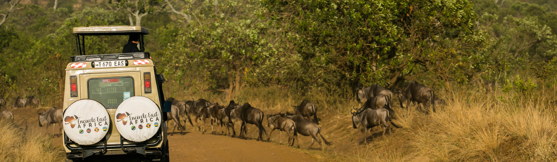 12 Day Wildlife Photography Safari