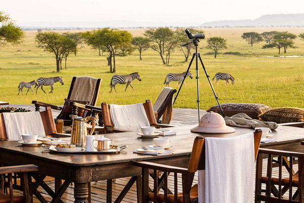 8 Days Tanzania Luxury Safari