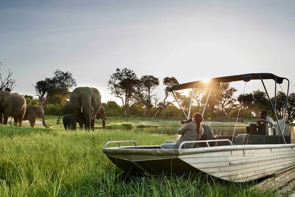 Wildlife And Zanzibar Luxury Safari