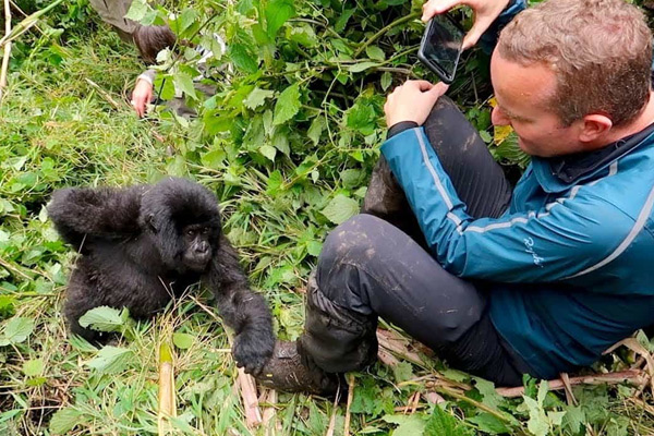 Gorilla & Primate Trekking