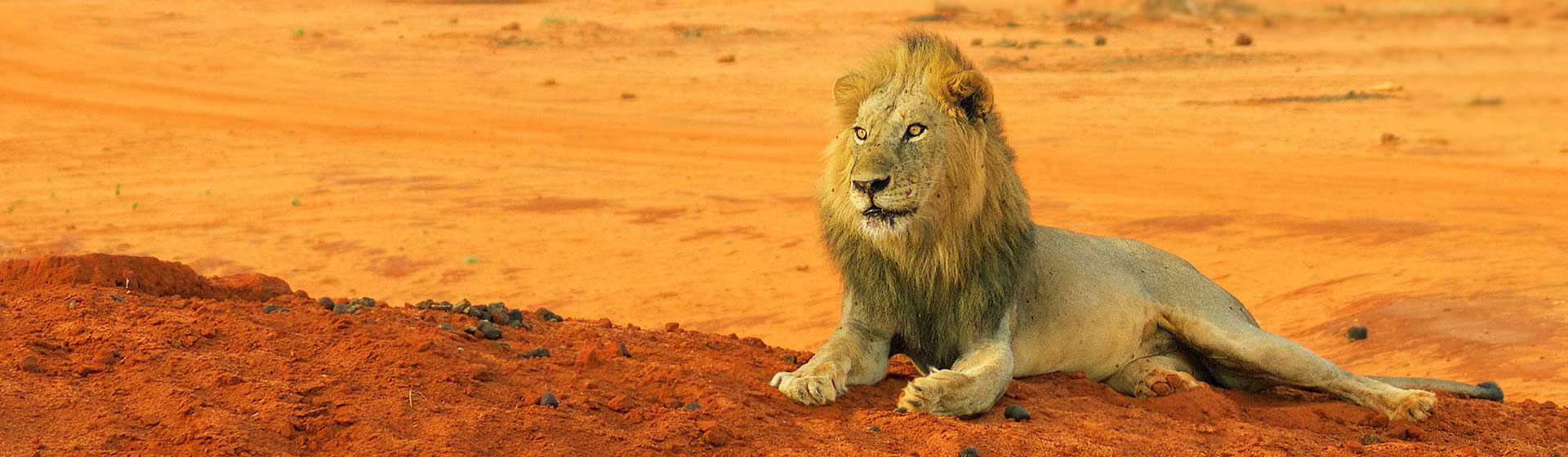 Tsavo East National Park